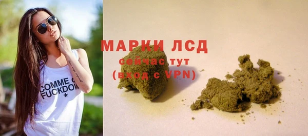 прущие крисы Бородино