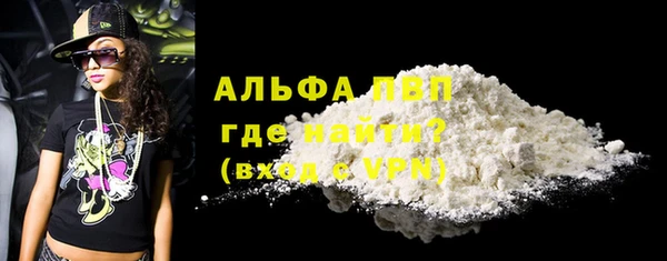 PSILOCYBIN Вязники