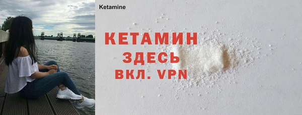 шишки Дмитров
