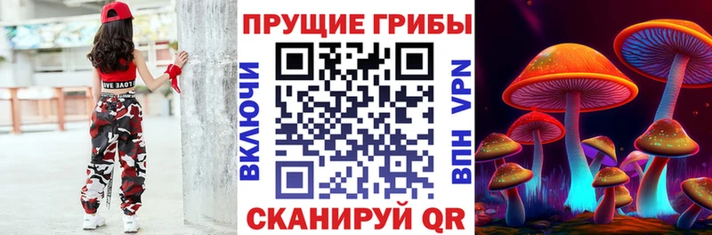 Псилоцибиновые грибы прущие грибы  где продают   Ейск 